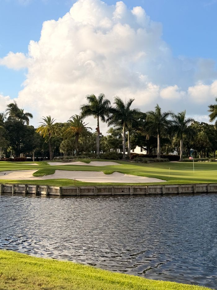 Palm trees beneath a sunny sky in Boca Raton
